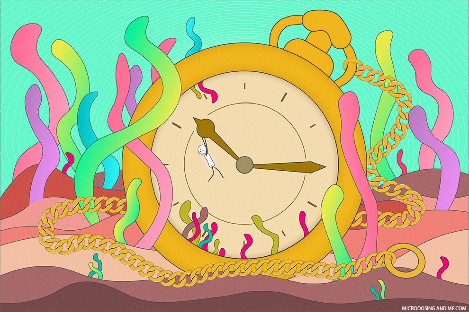 When To Microdose, And Why A Schedule Is Your Friend
